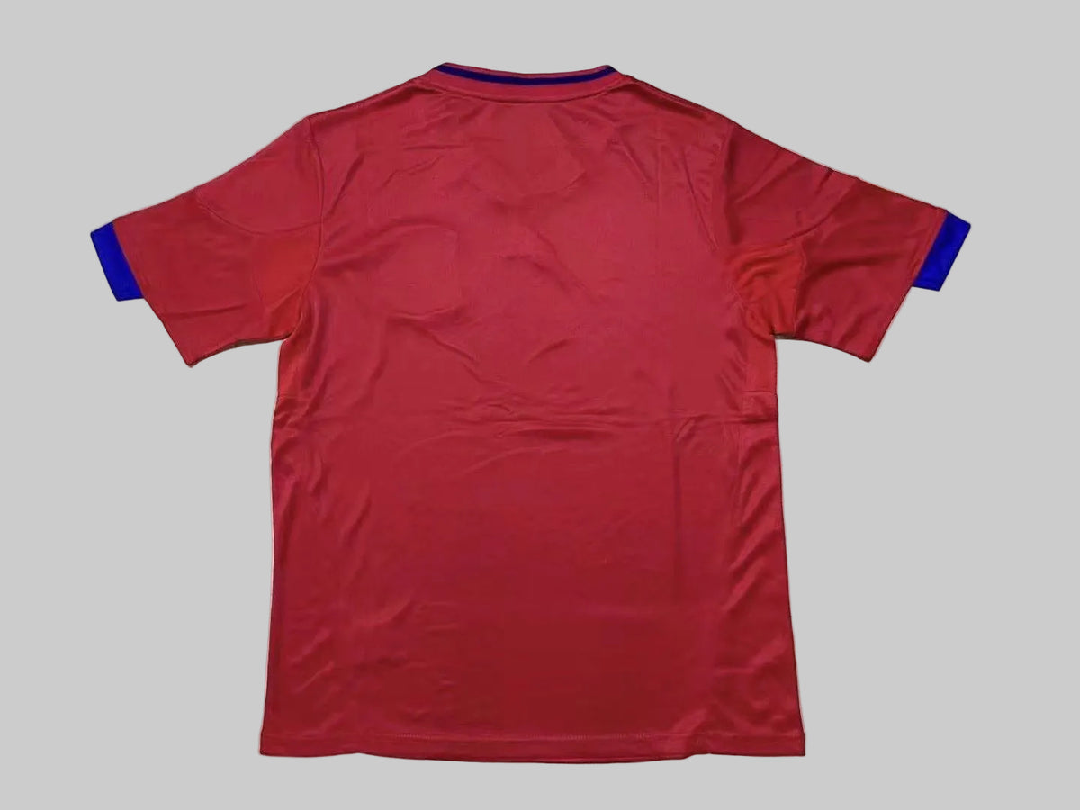 2010 Spain Shirt
